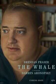 The Whale 2023flixtor